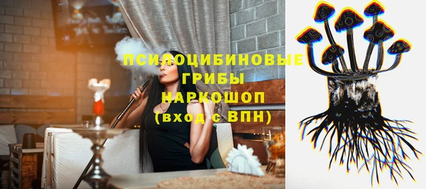 дурь Белокуриха