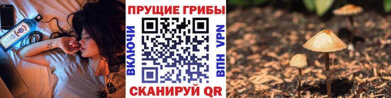 OMG зеркало Нижний Новгород Псилоцибиновые грибы прущие грибы